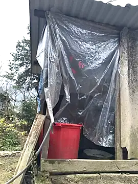 liu-liusexy online show from 01/19/26, 08:18