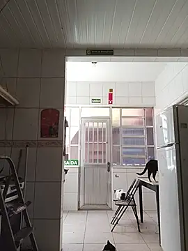 dinho carioca online show from 02/13/26, 12:12