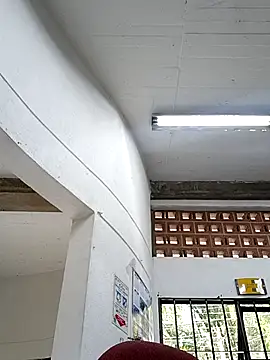 este juan online show from 11/13/25, 06:40