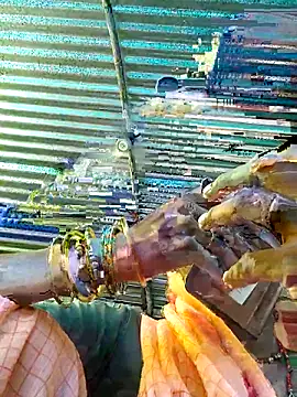 Pooja750 online show from 09/14/25, 03:49