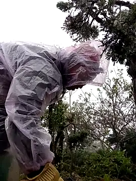 tcm-cute online show from 11/03/25, 08:04