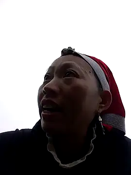 tcm-cute online show from 11/12/25, 07:31