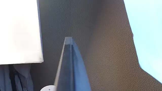 Vina Vision online show from 11/30/25, 11:58