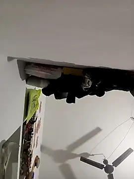 Payal950 online show from 11/08/25, 12:22