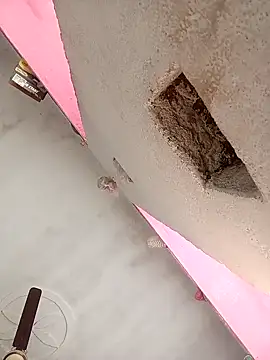 Payal950 online show from 02/07/26, 07:45