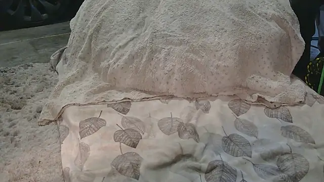 Gmajor online show from 03/15/26, 12:38