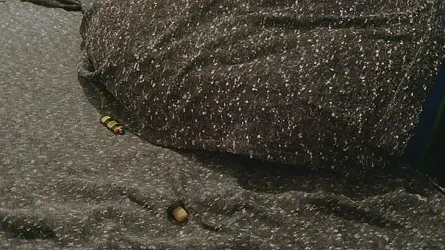 Gmajor online show from 04/11/26, 10:25