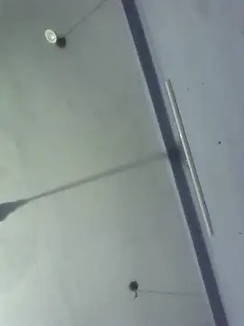 Snapshot of GirlsCrush_ chatting on 09/29/25, 07:19 GirlsCrush  online show from 09/29/25, 07:19