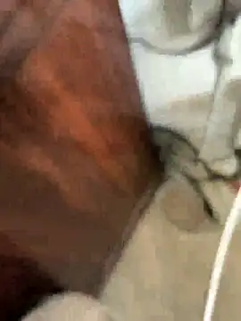 szy4418 online show from 07/22/26, 04:15