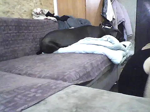 Milana38 online show from 10/07/25, 09:50