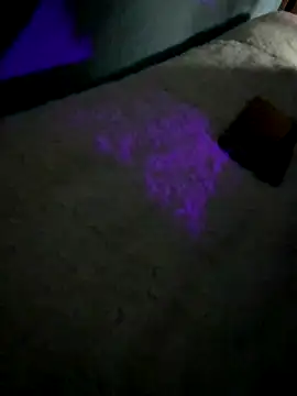 Snapshot of disvla chatting on 11/22/25, 05:17 disvla online show from 11/22/25, 05:17