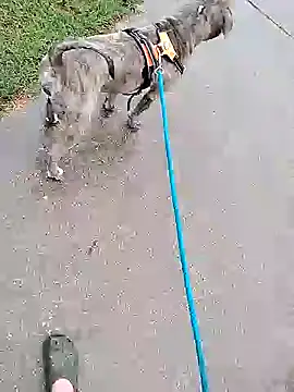 Snapshot of Unknownstepbrother chatting on 10/05/25, 07:56 Unknownstepbrother online show from 10/05/25, 07:56