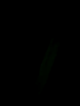 Marleymols online show from 12/02/25, 01:55