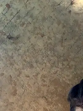 uniquesexyboy5689 online show from 11/27/25, 10:50