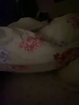 Snapshot of KE6FRAN7 chatting on 04/02/26, 04:32 KE6FRAN7 online show from 04/02/26, 04:32