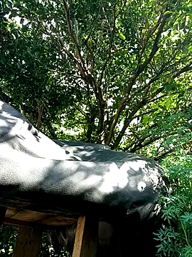 AlphaAlterX online show from 12/16/25, 07:52