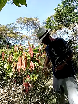 AlphaAlterX online show from 03/01/26, 03:03