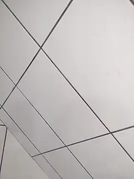 Novin23cms online show from 12/19/25, 04:03