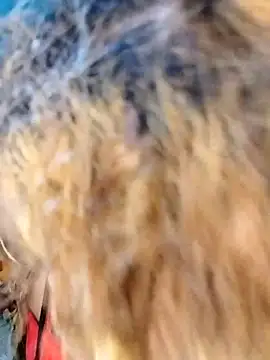 hemilynthomas2467 online show from 02/01/26, 07:23