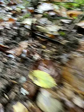 Snapshot of andymatthisbwc chatting on 10/05/25, 03:43 andymatthisbwc online show from 10/05/25, 03:43