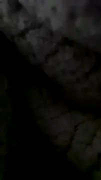 Snapshot of LanaAce719 chatting on 10/13/25, 07:41 LanaAce719 online show from 10/13/25, 07:41