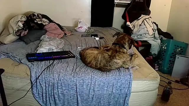 YoBlezz online show from 06/11/26, 02:53