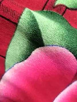 Snapshot of Family02 chatting on 11/26/25, 04:41 Family02 online show from 11/26/25, 04:41