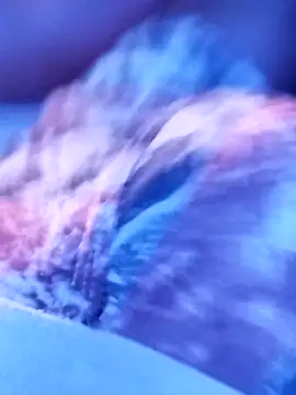 sertaonegro online show from 11/14/25, 11:13