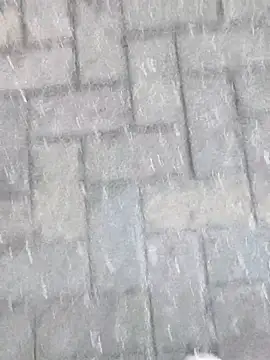 boxerundsocken91 online show from 03/09/26, 05:17