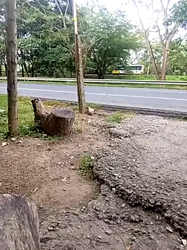 charlotte dante212 online show from 11/23/25, 09:25