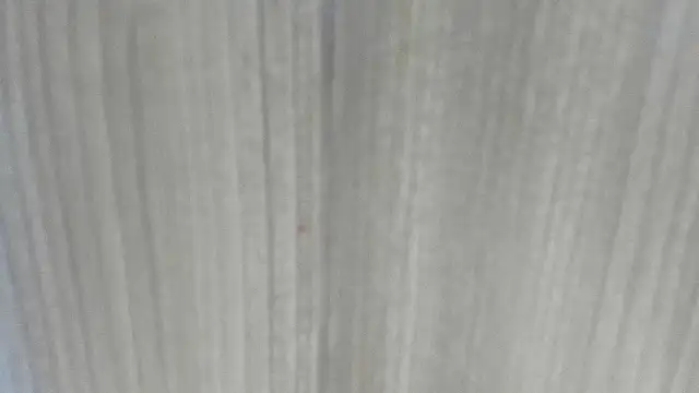 Snapshot of emycarver09 chatting on 02/01/26, 11:31 emycarver09 online show from 02/01/26, 11:31