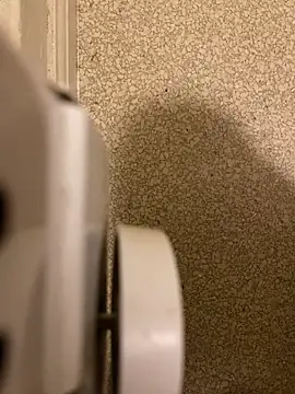 Snapshot of Pedro98801 chatting on 12/18/25, 03:56 Pedro98801 online show from 12/18/25, 03:56