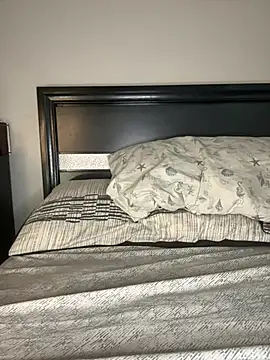 latina curvy22 online show from 03/29/26, 07:58