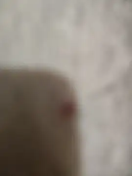 sert erkekk online show from 01/13/26, 09:42