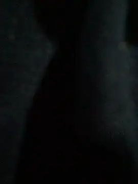 hmleonardo online show from 04/15/26, 07:26