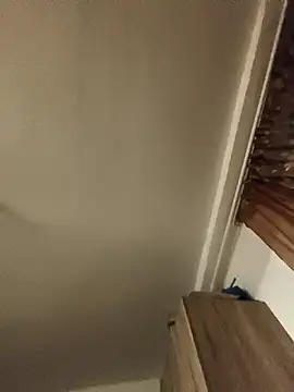 Sakura 2000 online show from 01/31/26, 11:03