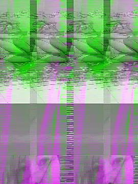 couple2612 online show from 10/07/25, 09:39