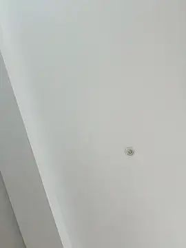 Snapshot of MoniqueMulberry chatting on 11/08/25, 07:34 MoniqueMulberry online show from 11/08/25, 07:34