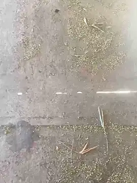 Chico031289 online show from 10/28/25, 07:16