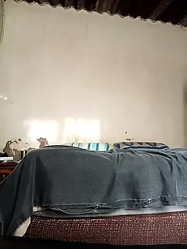 Snapshot of average_price chatting on 10/08/25, 04:21 average price online show from 10/08/25, 04:21