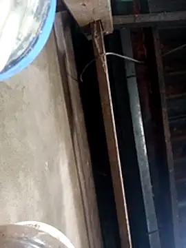 Snapshot of siki-00 chatting on 10/21/25, 03:40 siki-00 online show from 10/21/25, 03:40