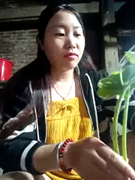 Snapshot of siki-00 chatting on 10/25/25, 11:54 siki-00 online show from 10/25/25, 11:54