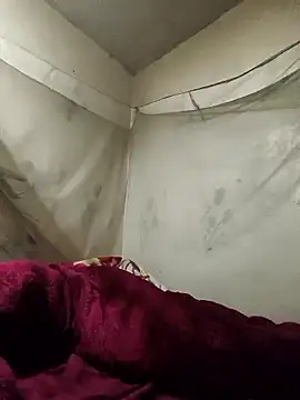 siki-00 online show from 01/07/26, 02:52