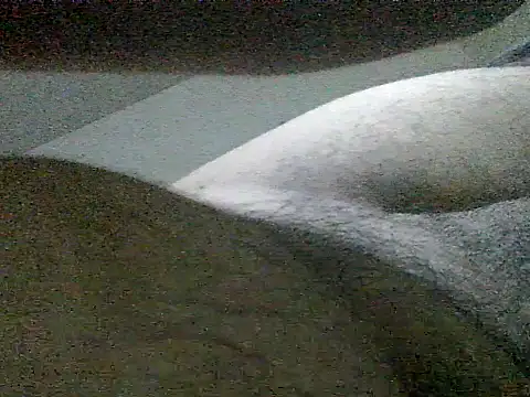 LuispingonX69 online show from 05/25/26, 11:44