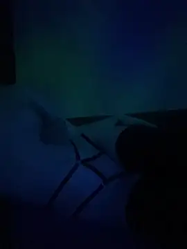 gjollyros online show from 02/18/26, 08:16