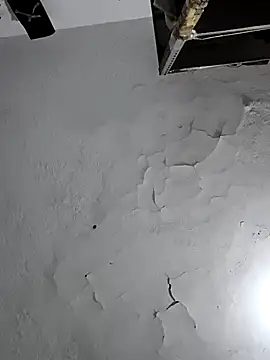 Ferxxxo1503 online show from 02/06/26, 05:45