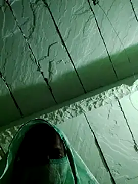 Snapshot of PoojaGupta66 chatting on 11/29/25, 05:49 PoojaGupta66 online show from 11/29/25, 05:49