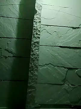 Snapshot of PoojaGupta66 chatting on 11/30/25, 05:17 PoojaGupta66 online show from 11/30/25, 05:17