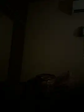 Chaitu-teluguhot online show from 12/16/25, 10:04