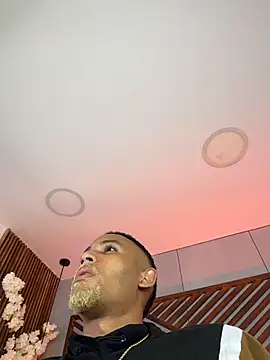 B Wild online show from 02/03/26, 06:51